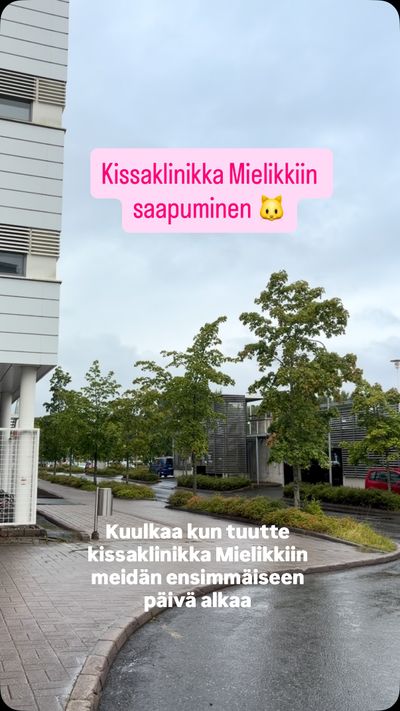Kulkuohjeet Kissaklinikka Mielikkiin!

Osoitteena Mattilanni...