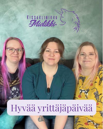 Tapasipa kerran kolme tyyppiä. Tekivät töitä yhdessä päivät,...